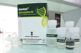 ArborEasyTM DNA Isolation Kit